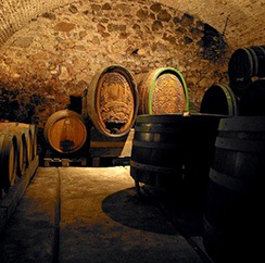 Wine cellar